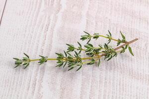 Aroma seasoning thyme stem with leaves photo