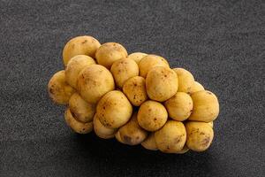 Tropical exotic sweet and juicy Longan photo