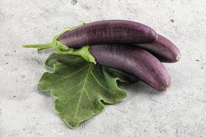 Raw ripe organic eggplant with leaf photo