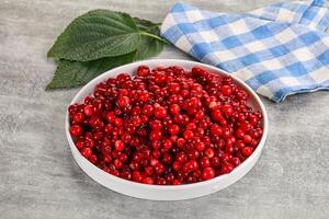 Ripe sweet wild organic cowberry photo