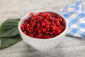 Ripe sweet wild organic cowberry photo