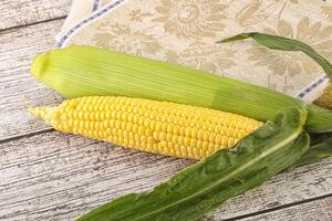 Yellow sweet raw cob corn photo