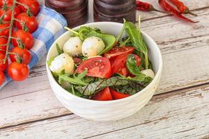 Mix salad with mozzarella and tomato photo