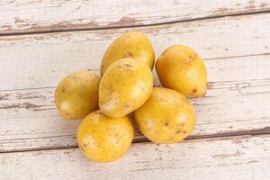 Raw young baby potato heap photo