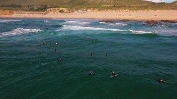 Surfer mit Surfbretter im Meer während Sommer- Ferien beim Strand video