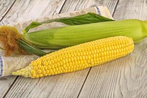 Yellow sweet raw cob corn photo