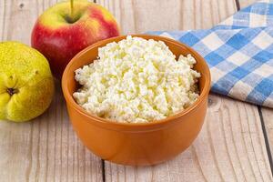 Organic cottage cheese in the bowl photo