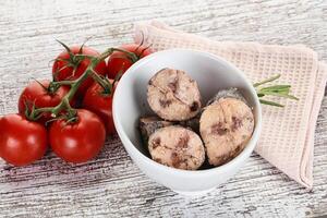 Pieces of canned tuna fish photo