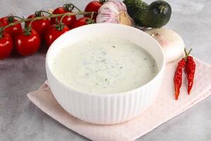 Traditional delicious appetizer greek tzatziki Turkish name cacik photo