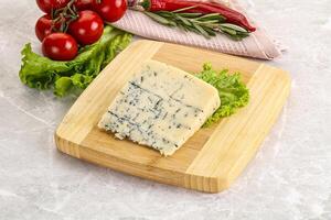 Gourmet blue cheese with mold photo