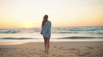 ein Frau im ein Bikini ist Gehen auf das Strand video