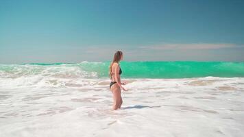 un' donna nel un' bikini in piedi nel il oceano video