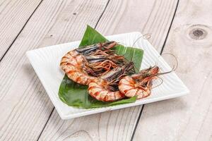 Cooked tiger prawn in the pate photo