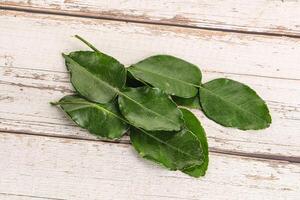 Aroma seasoning kaffir lime leaves photo