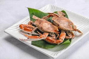 Yummy boiled crab in the plate photo