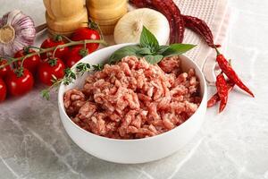 Raw minced pork uncooked meat photo