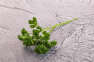 Green parsley leaves heap isolated photo