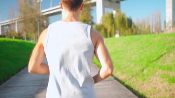 mannetje jogger rennen in park zonnig dag. atleet aan het doen cardio opleiding. video