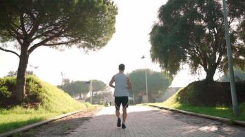 Masculin joggeur fonctionnement dans parc ensoleillé journée. athlète Faire cardio entraînement. video