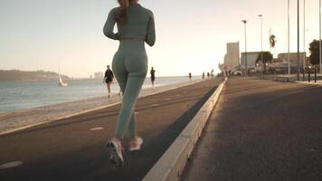 jong volwassen geschiktheid vrouw jogging door dijk Oppervlakte kust- stad in mooi zonnig dag. video