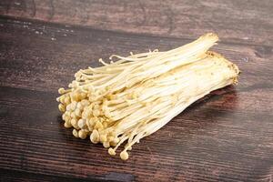 Tasty raw enoki mushroom heap photo