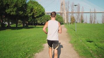 mannetje jogger rennen Aan park zonnig dag. atleet aan het doen cardio opleiding. video