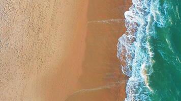 aereo Visualizza di onda su il spiaggia con sabbia e turchese onde video