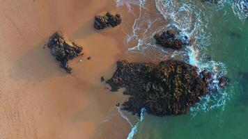 aéreo Visão do onda em a de praia com areia e turquesa ondas video