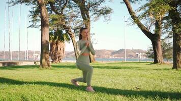 jovem adulto ginástica mulher exercício ao ar livre em verde grama. video