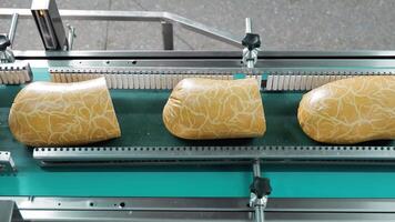 Industrial Sausage Packaging Conveyor, Wrapped sausages advancing on a stainless steel packaging conveyor system. video