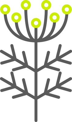 Dill Line Two Color Icon