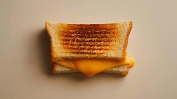 A slice of toasted bread with melted cheese on top, The bread is toasted and has a golden brown color photo