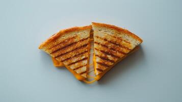 A slice of toasted bread with melted cheese on top, The bread is toasted and has a golden brown color photo