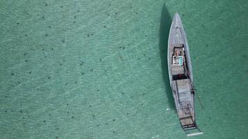 zeester in kristal Doorzichtig turkoois zee en houten boot, phu quoc eiland Vietnam video