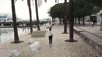 Woman jogging alone by embankment area city in beautiful sunny autumn morning. video