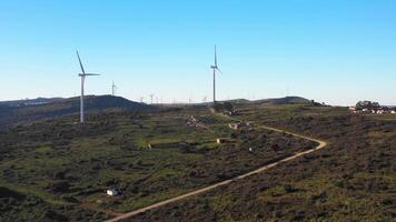 Wind turbines producing renewable source of energy on windfarm illuminated by sunlight. video