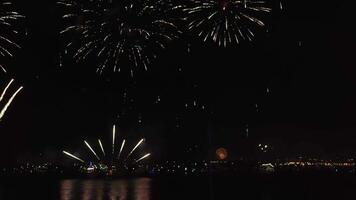 colorida fogos de artifício explodindo dentro noite céu. video