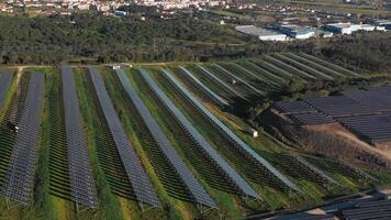 aereo Visualizza di solare pannelli azienda agricola con luce del sole. video
