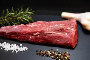 beef Steak fillet with herbs and spices photo