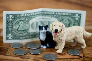 how expensive is a pet photo