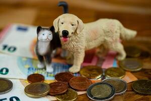 how expensive is a pet photo