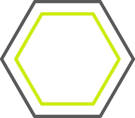 Hexagon Line Two Color Icon