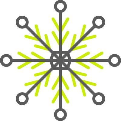 Snowflake Line Two Color Icon