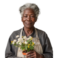 Sénior femme jardinier souriant tandis que en portant mis en pot fleurs png