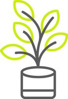 Ficus Line Two Color Icon vector