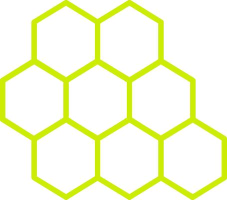 Bee Hive Line Two Color Icon