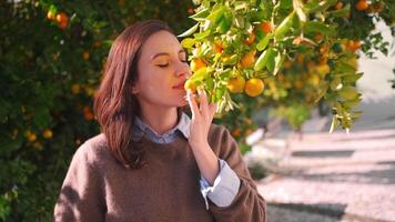 un mujer es oliendo un naranja árbol video