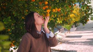 un mujer es oliendo un naranja árbol video