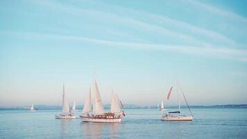 Aussicht von Ufer von Segelboote und Yachten im Meer Bucht. video