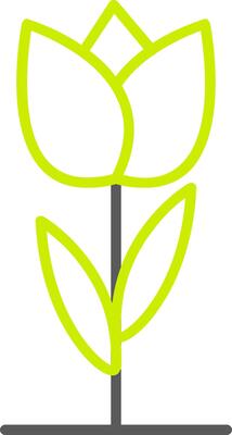 Tulip Line Two Color Icon